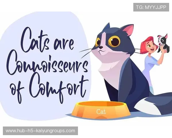 -Ý¥¦¦·Ð¬+ÌÁð